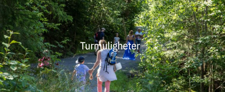 Turmuligheter-Portåsen