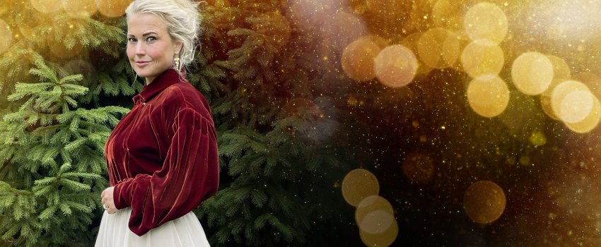 Bøksle-01-Banner-b