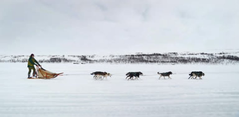 Døden på vidda.jpg