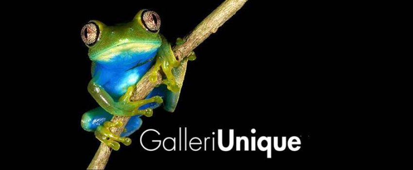 Frosk_Galleri_Unique